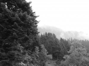 header